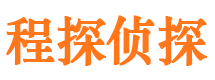 莱西寻人公司